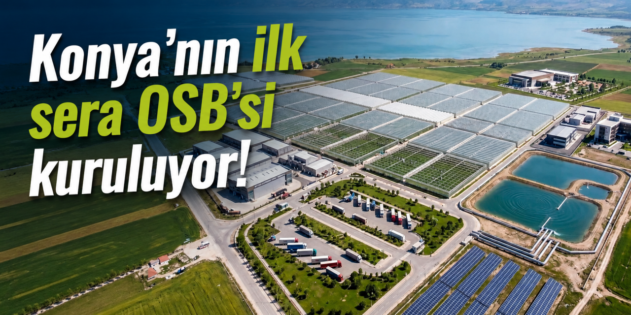 Konya’da ilk sera OSB bu ilçeye kurulacak! 12 ay üretim, yüzlerce kişiye iş imkanı sağlanacak