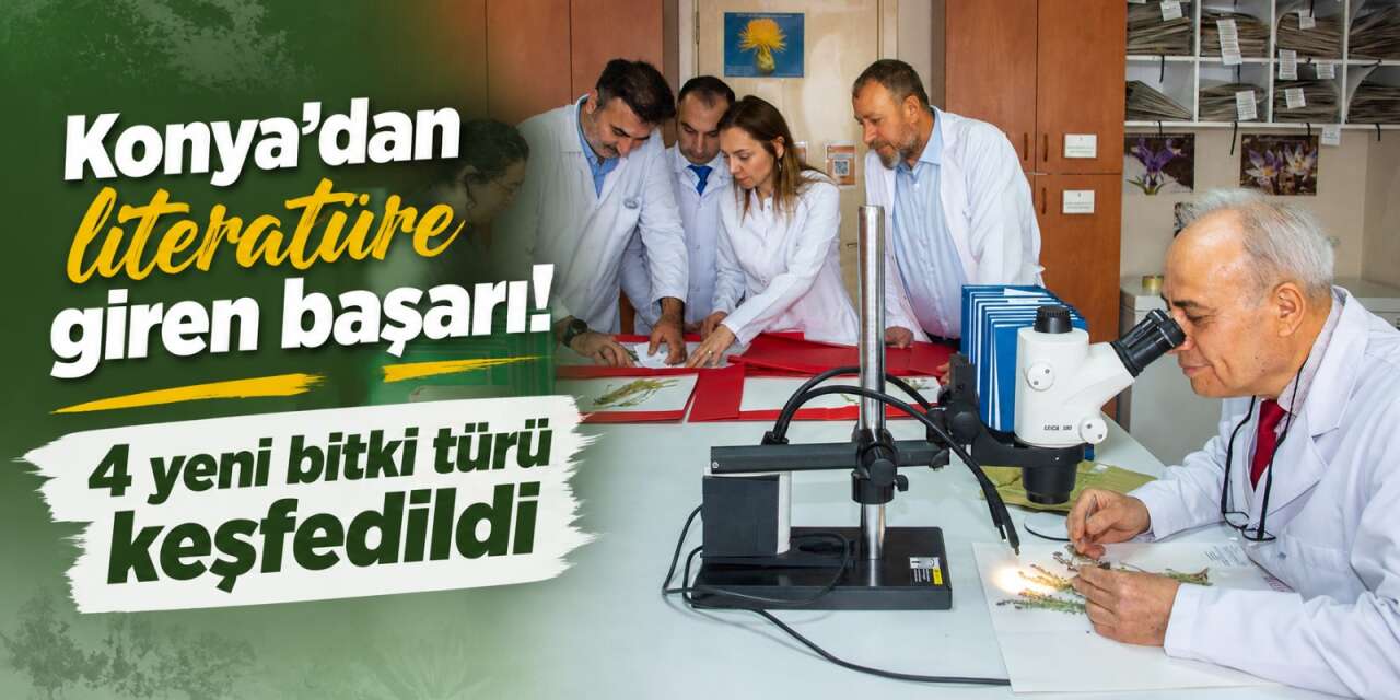 Konya’dan literatüre giren başarı! 4 yeni bitki türü keşfedildi