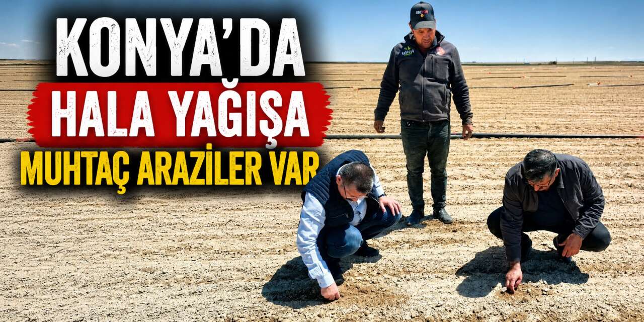 Konya’da bazı ekili alanlar hala yağış bekliyor