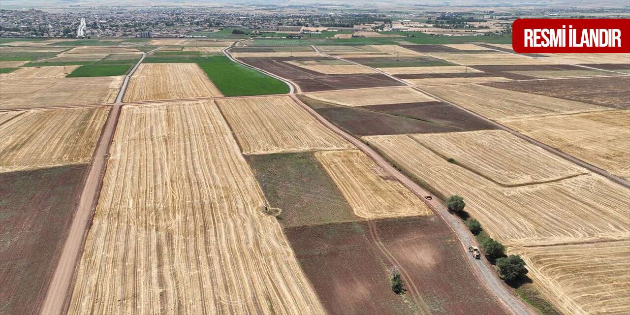 Konya Büyükşehir iki tarla için kiralama ihalesine çıkıyor