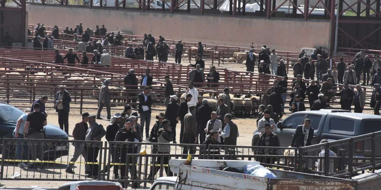 Hayvan pazarında silahlı kavga! 1 ölü, 13 yaralı
