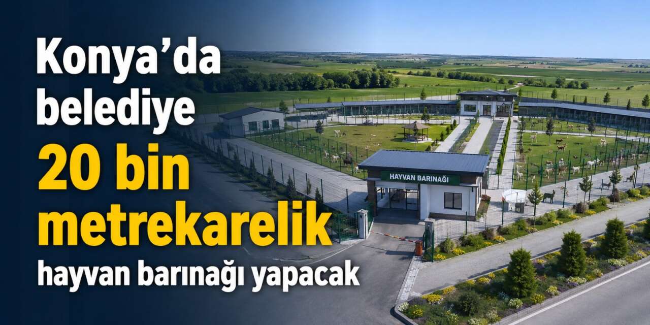 Konya’ya yeni hayvan barınağı yapılacak