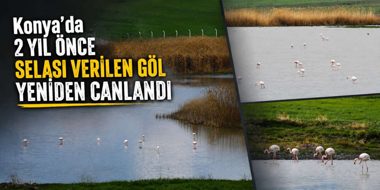 Konya’da 2 yıllık hasret son buldu! Kuruyan göl yeniden suya kavuştu