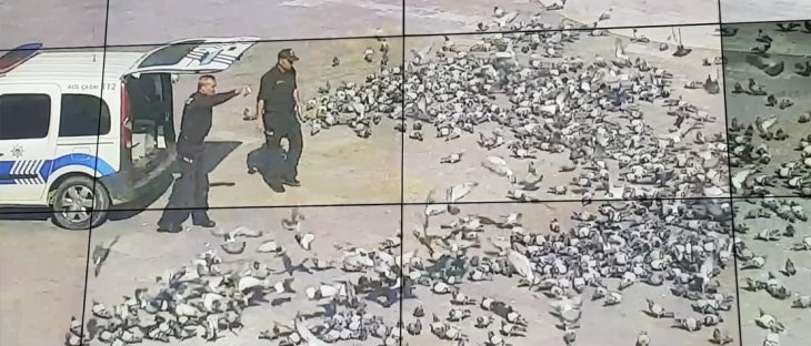 Konya'da aç kalan güvercinleri polis besledi