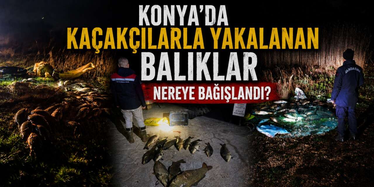 Konya’da avcılara gece baskını! Yüz binlerce lira ceza yediler