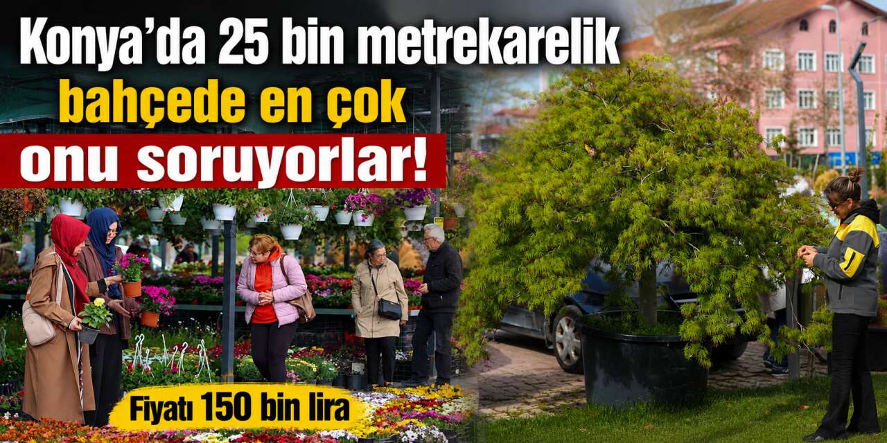 Konya’da baharın en dikkat çeken ürünü! Fiyatını gören dönüp bir daha bakıyor