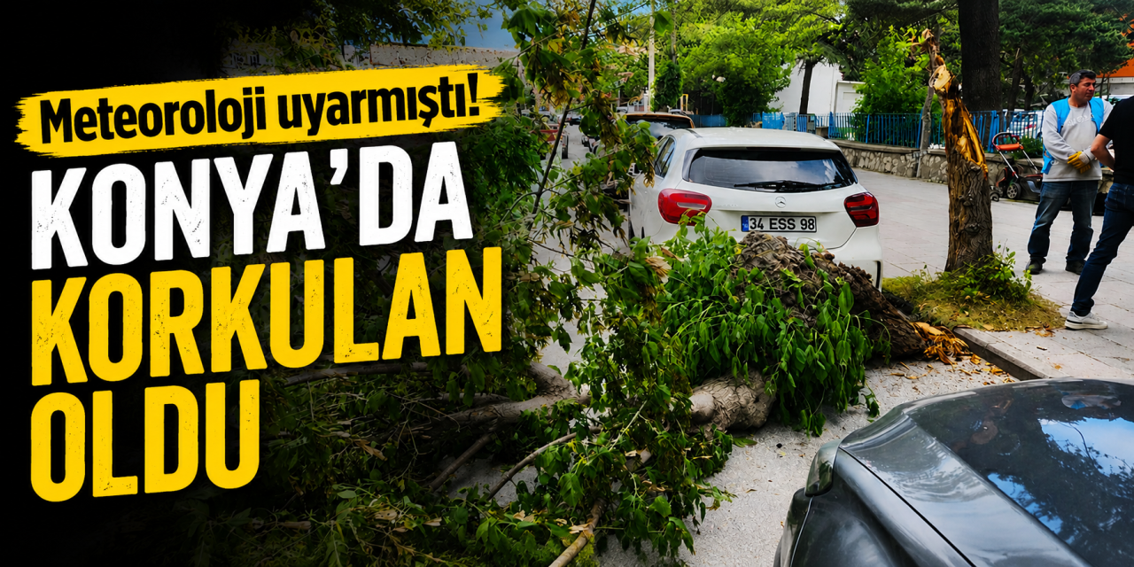 Konya’da şiddetli rüzgarın etkisiyle otomobilin üzerine ağaç devrildi