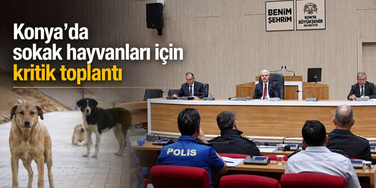 Konya’da sahipsiz hayvanlar için kritik toplantı