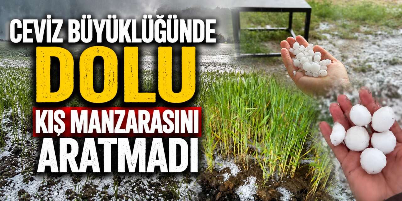 Ceviz büyüklüğünde dolu yağdı, çiftçinin zararı büyük