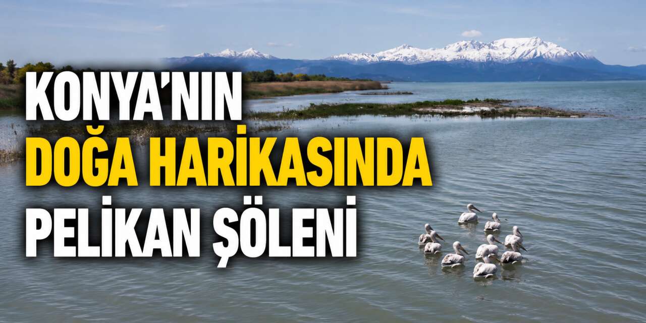 Doğanın eşsiz misafirleri Konya’da böyle görüntülendi