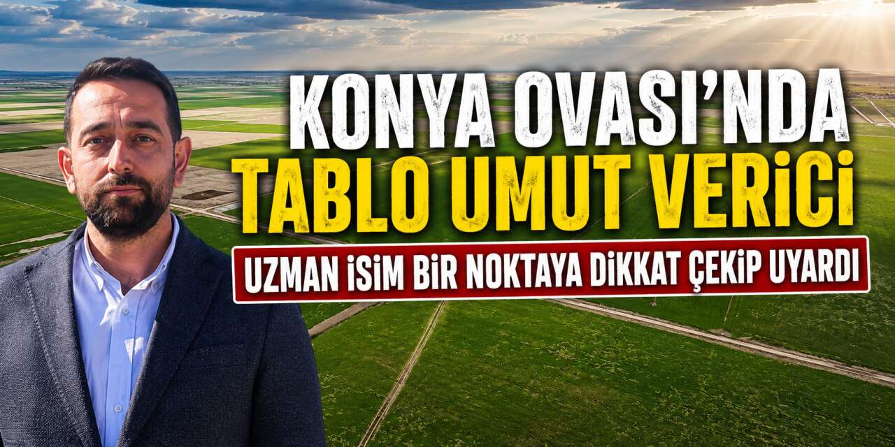 Konya’da tarlaya bereket geldi, ancak risk de kapıda