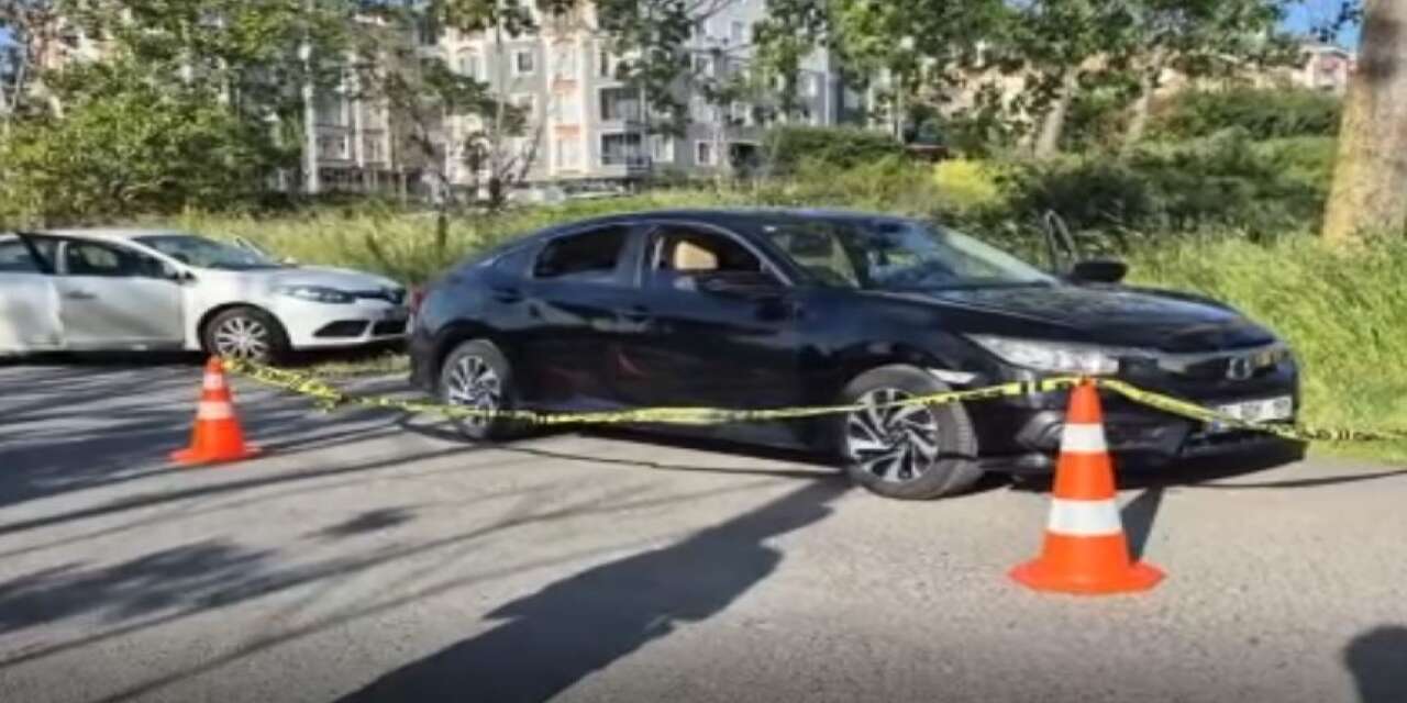 Park halindeki aracın yanında erkek cesedi bulundu
