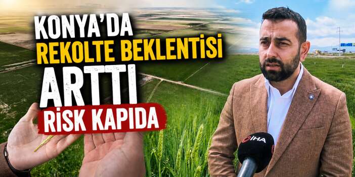 Bereketle coşan Konya çiftçisini yeni bir korku sardı