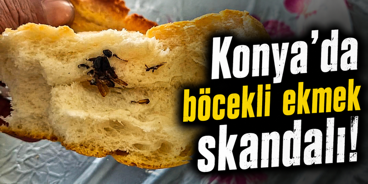 Konya’da hijyen skandalı! Ekmeğin içinden hamam böceği çıktı