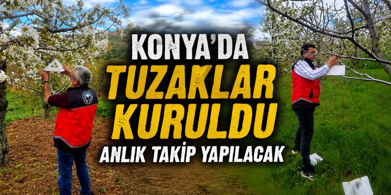 Konya’nın bereketli topraklarında erken uyarı dönemi başladı