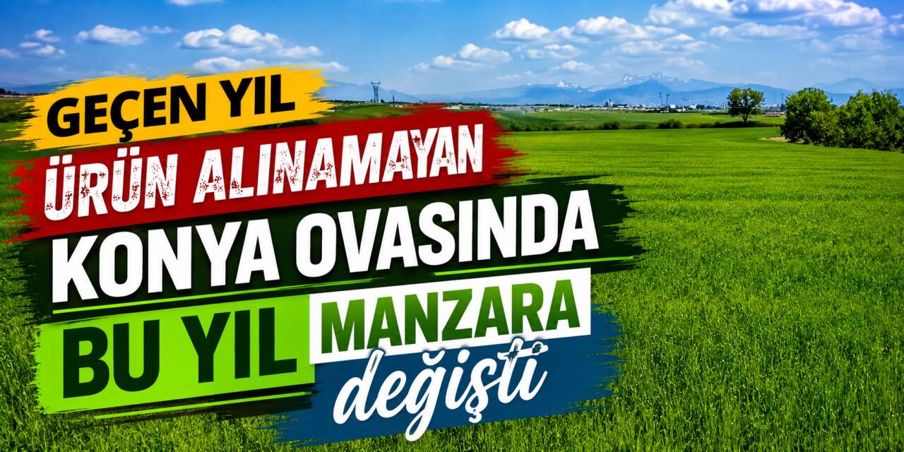 Konya’da bu yıl kıraç araziler de coşuyor