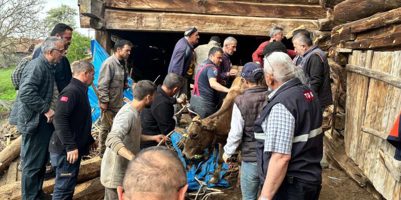 Ahırda can pazarı! 63 yaşındaki kadın ve hayvanları enkaz altında kaldı