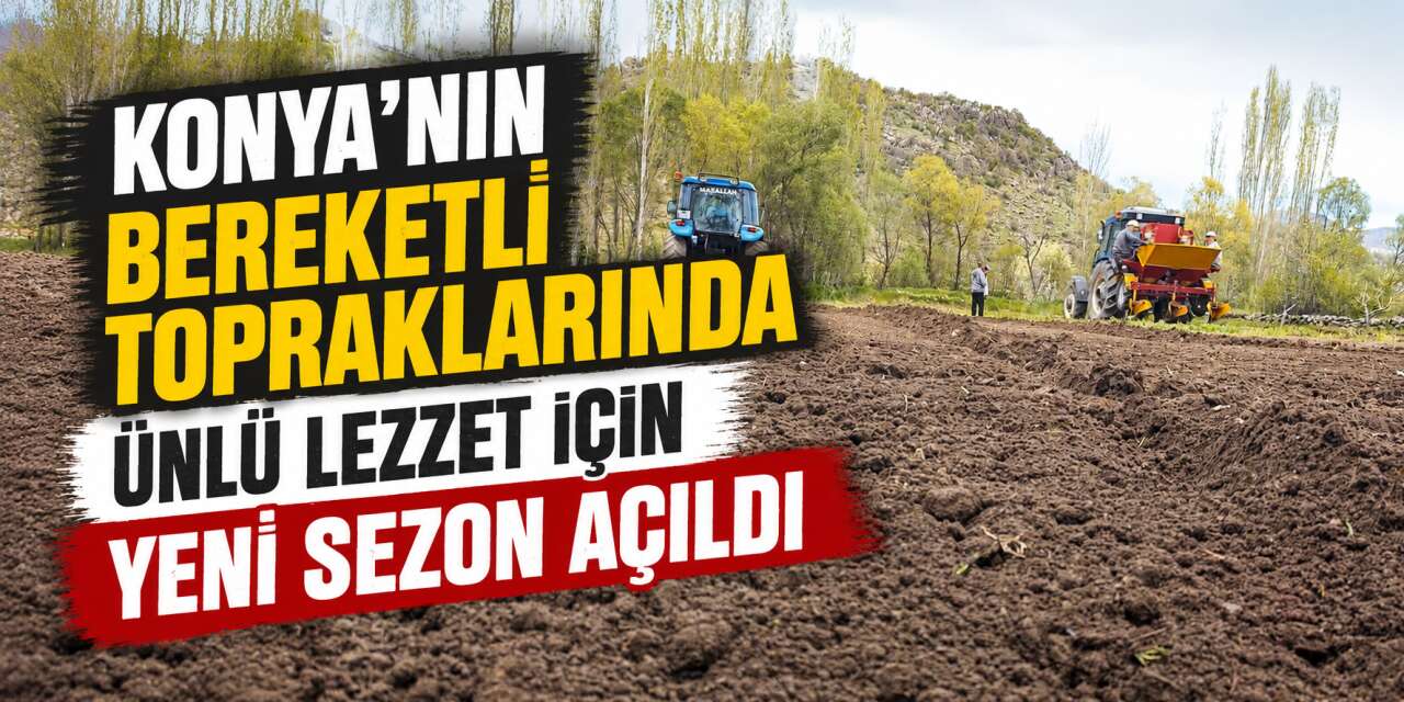 Konya’nın meşhur lezzeti yeniden toprakla buluşuyor