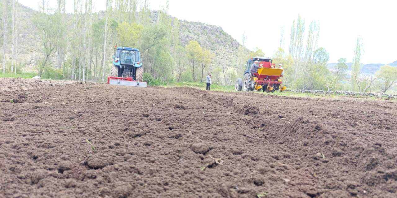 Konya’nın meşhur lezzeti yeniden toprakla buluşuyor