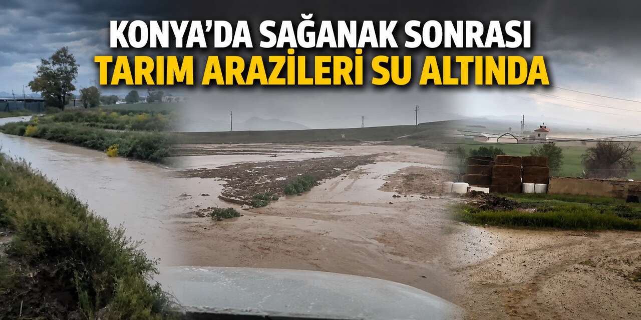 Aşırı yağış Konya’nın tarım kenti ilçesinde ekili arazileri vurdu