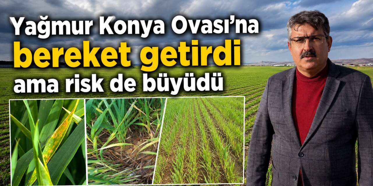 Konya’da yağışla coşan çiftçinin başını yeni dert sardı