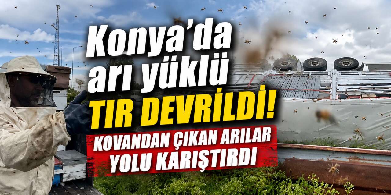 Konya’da kara yolunda arı paniği! TIR devrildi, sürücüler zor anlar yaşadı