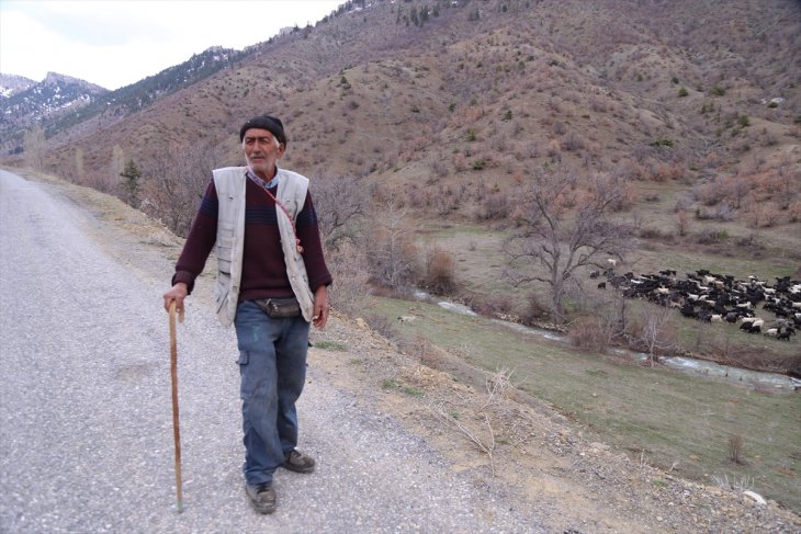 Toroslar'ın 40 yıllık çobanının bitmek bilmeyen meslek aşkı