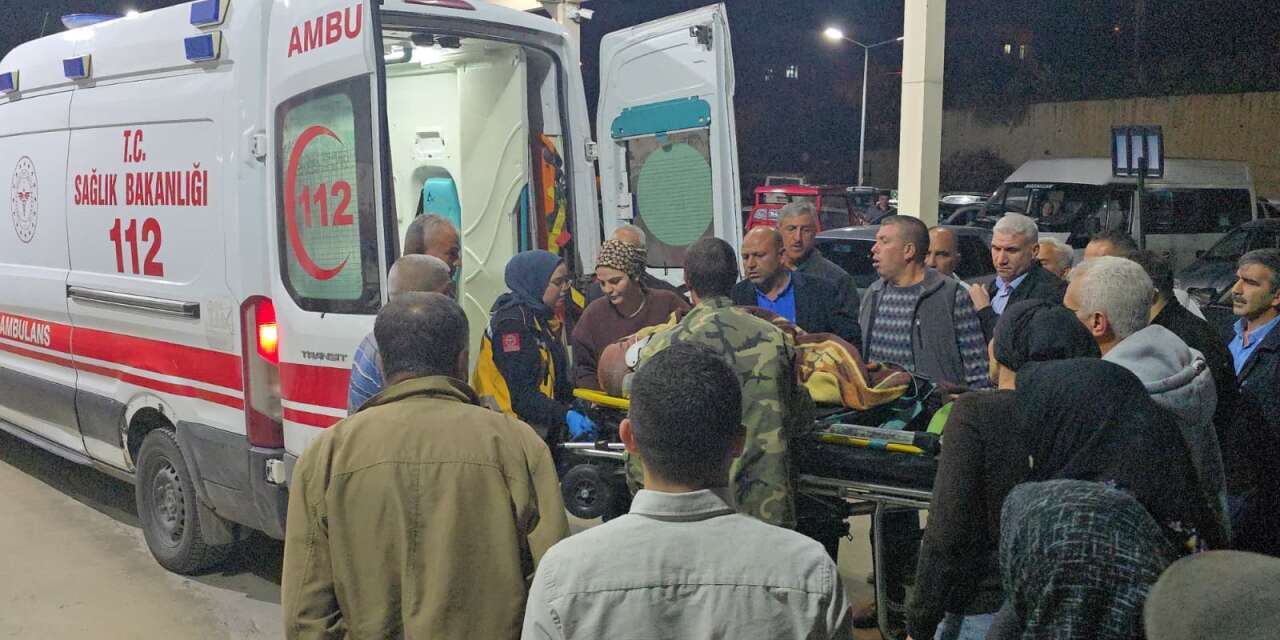 Kurbanlık koyun yüklü kamyonet devrildi! 2 yaralıdan birinin durumu ağır