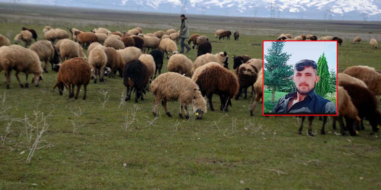 Hayvan otlatan besicinin üzerine yıldırım düştü! Durumu ağır