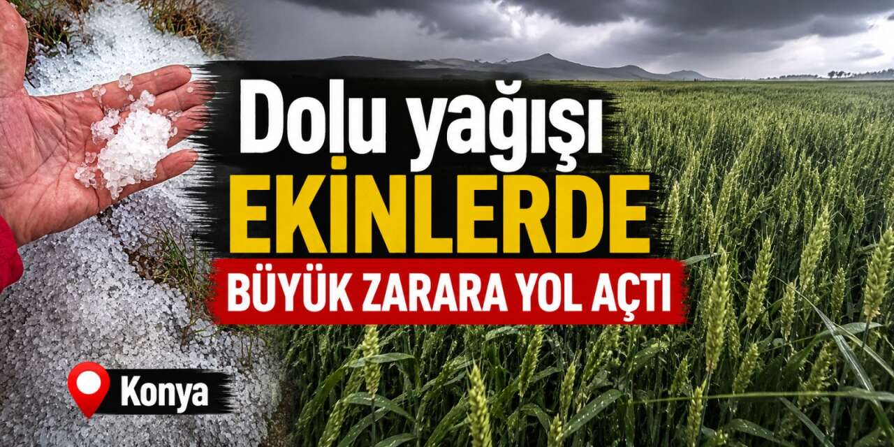 Konya’da dolu ekinleri biçti! Ovada hasar büyük