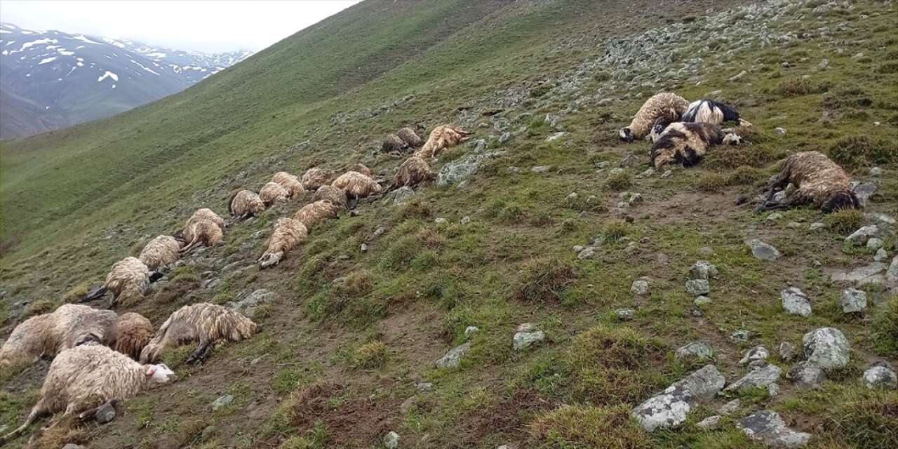 Yıldırım isabet eden 30 küçükbaş hayvan telef oldu