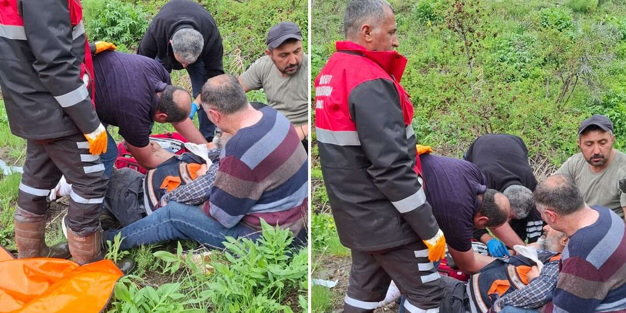 Mantar arayan adam kabusu yaşadı! Ayının saldırısına uğradı