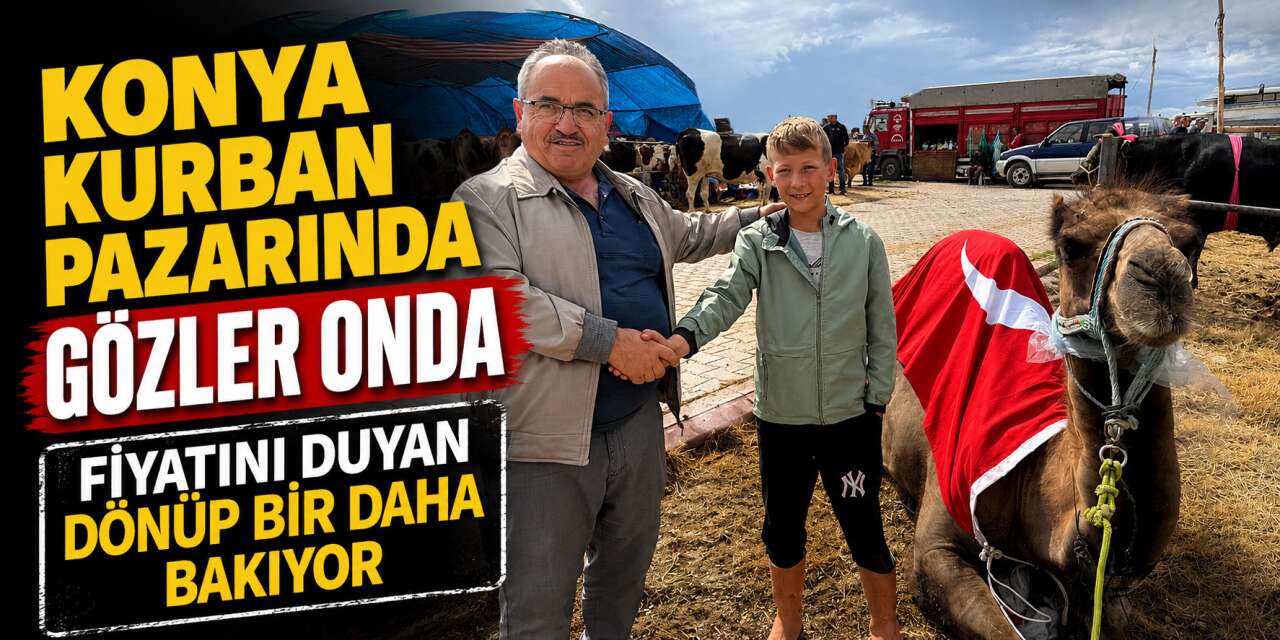 Konya’daki kurban pazarının yıldızı Mülayim oldu