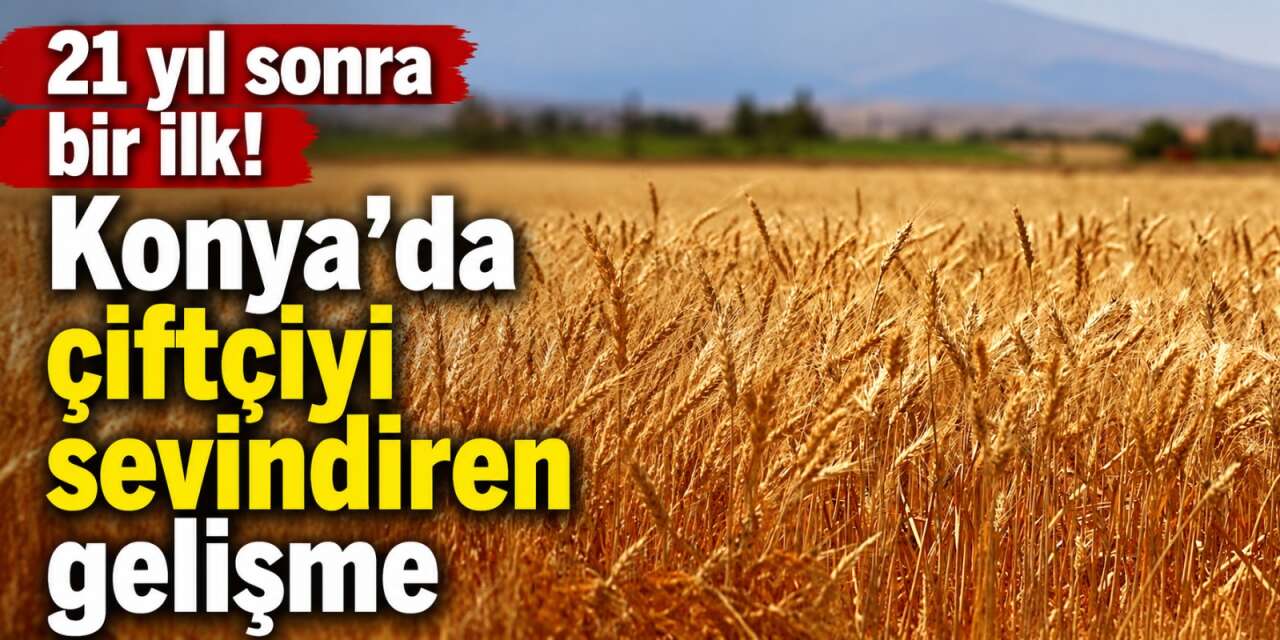 Konya’nın kurak topraklarına 21 yılın ardından bereket geldi