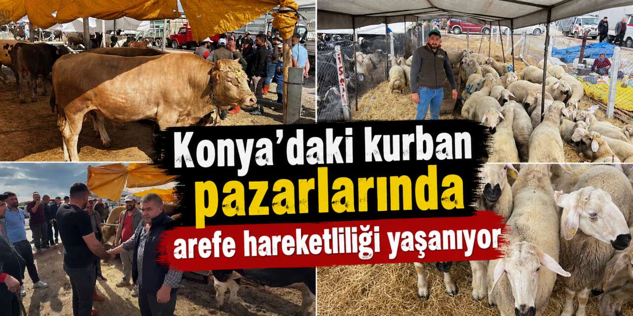 Konya’da arefe yoğunluğu! Kurban pazarlarında sıkı pazarlık yapılıyor