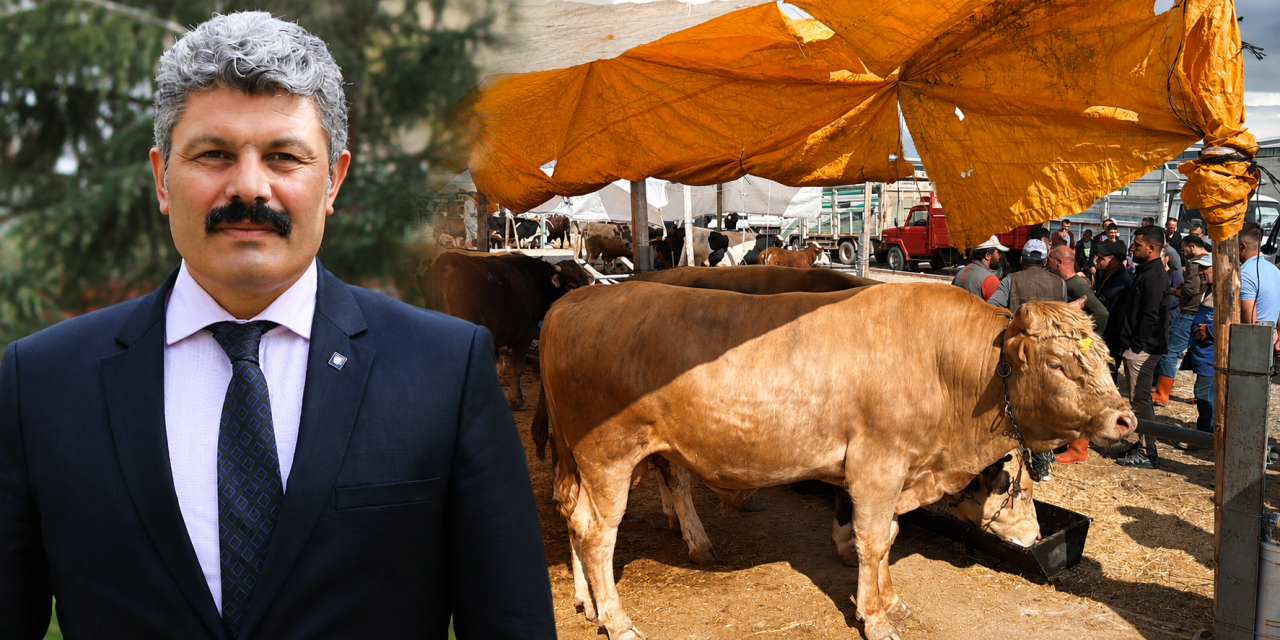 Celil Çalış: Kurban, dünyanın en büyük sosyal dayanışma projelerinden biridir