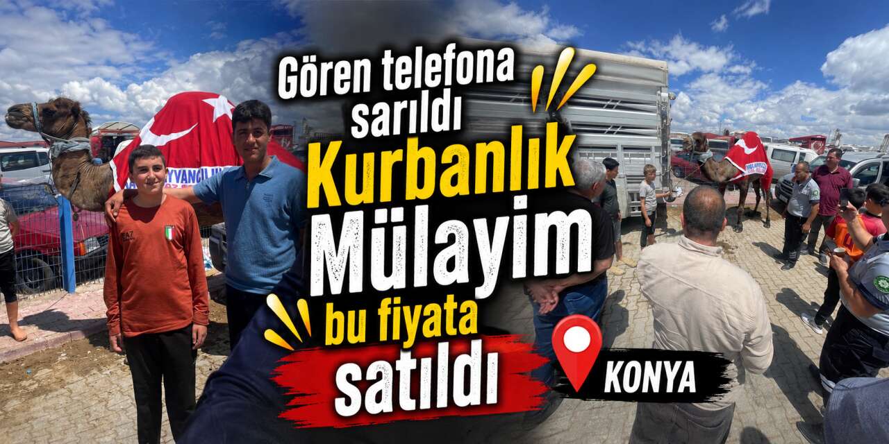 Konya’da kurban pazarının yıldızı deve Mülayim satıldı