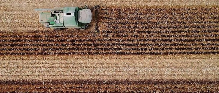 Konya'da hububat fiyatları