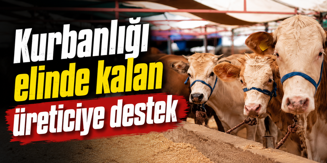 Bakan Yumaklı duyurdu: Satılamayan kurbanlıkları ESK alacak