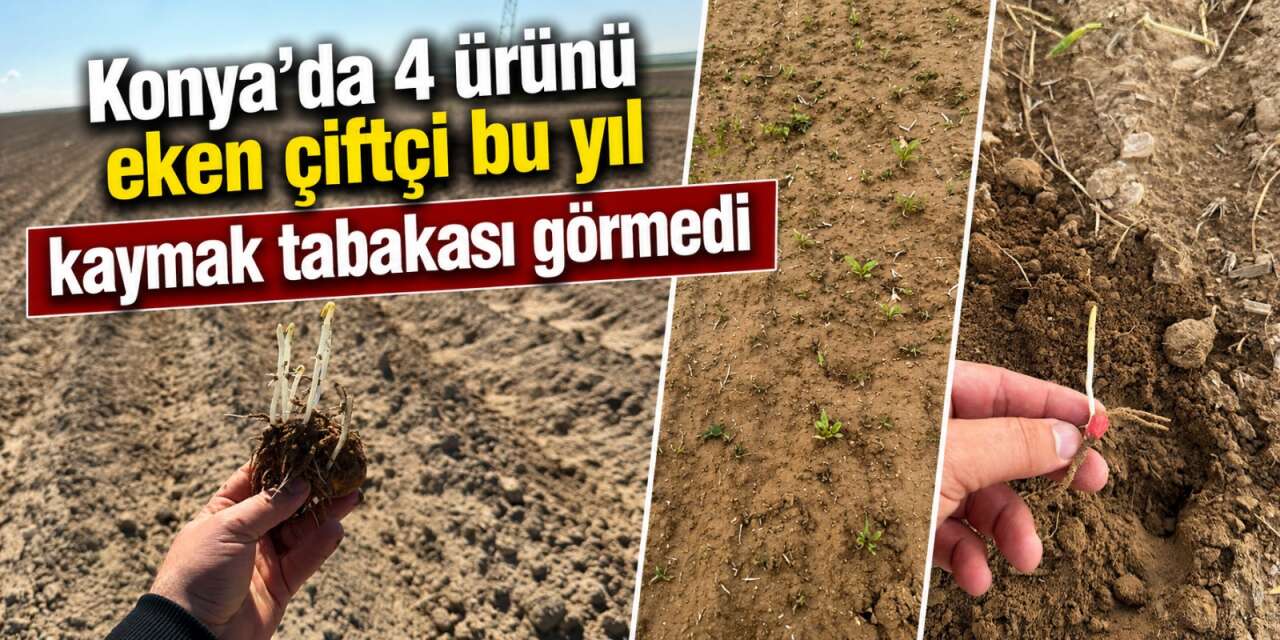 Konya’nın bereketli toprakları bu yıl kaymak tabakası görmedi