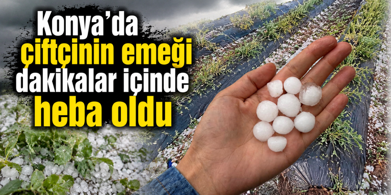 Konya’da dolu sebze fidelerini biçti