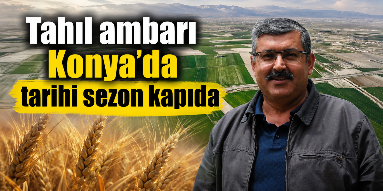 Konya Ovası bu yıl uçacak! Cumhuriyet tarihinin en yüksek rekoltesi gelebilir