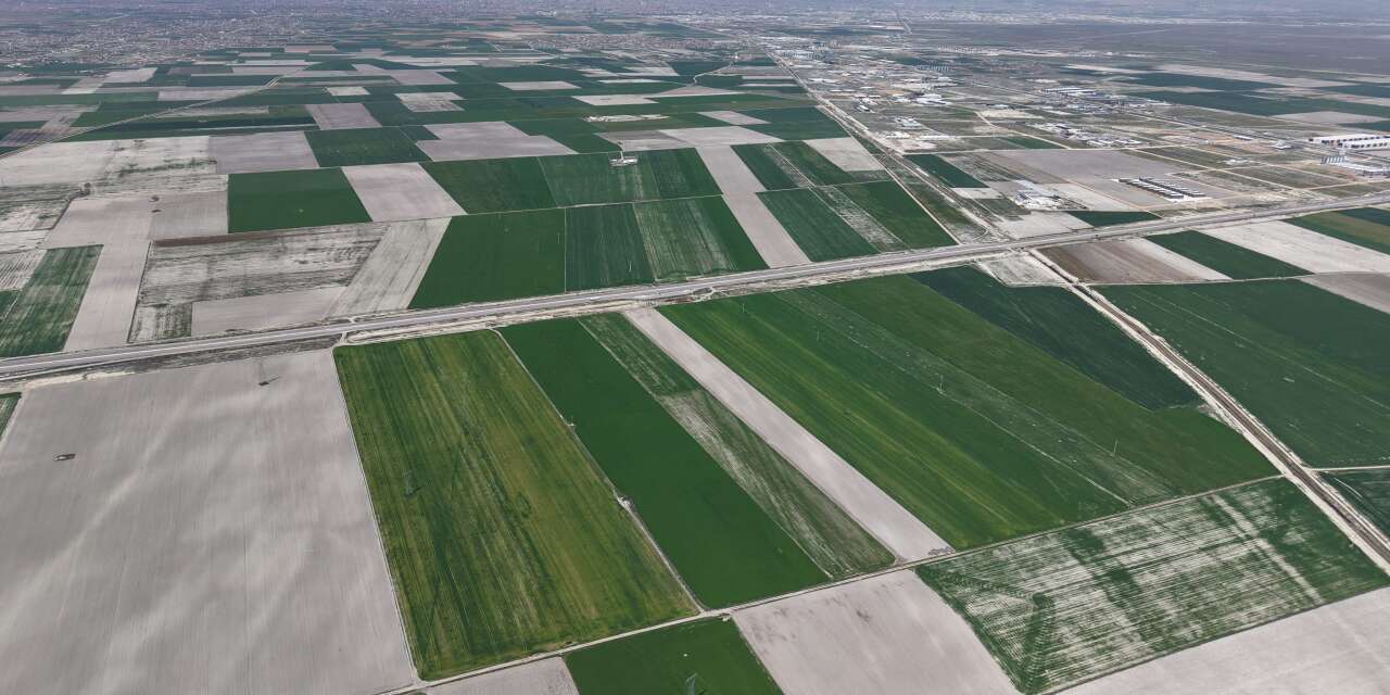 Konya Ovası bu yıl uçacak! Cumhuriyet tarihinin en yüksek rekoltesi gelebilir