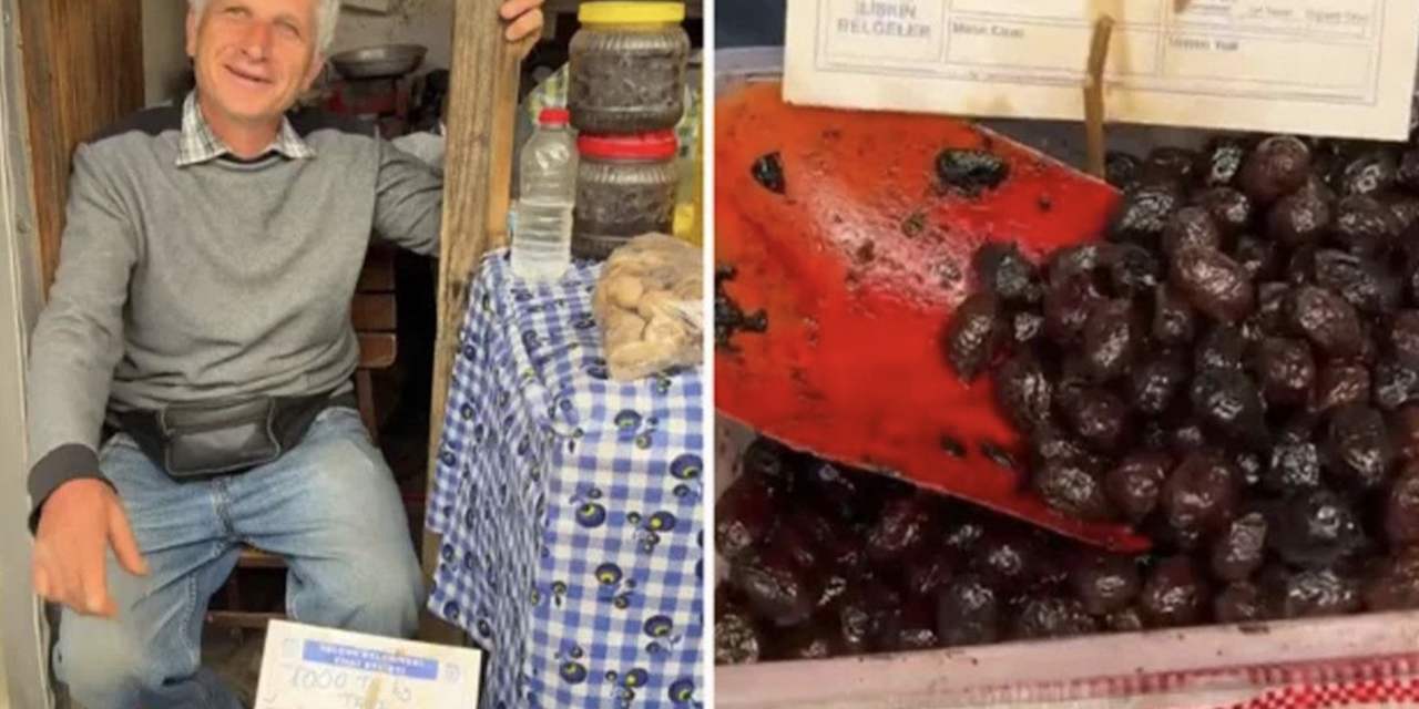 Tanesi 50 liraya satılan zeytin Bakanlığı harekete geçirdi