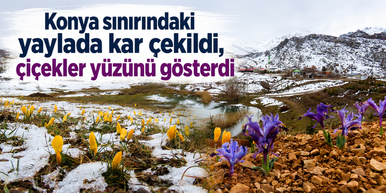Konya sınırındaki 6 metrelik kar yerini rengarenk çiçeklere bıraktı
