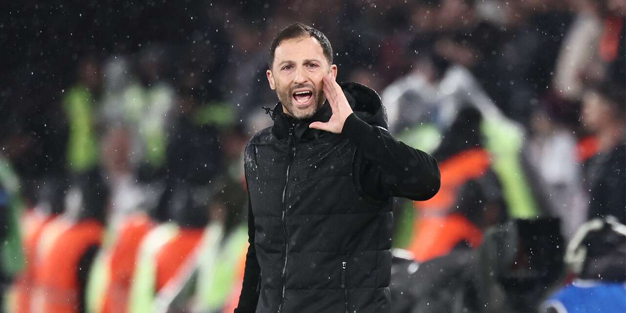 Fenerbahçe’den ayrılan Domenico Tedesco’nun yeni adresi resmen açıklandı