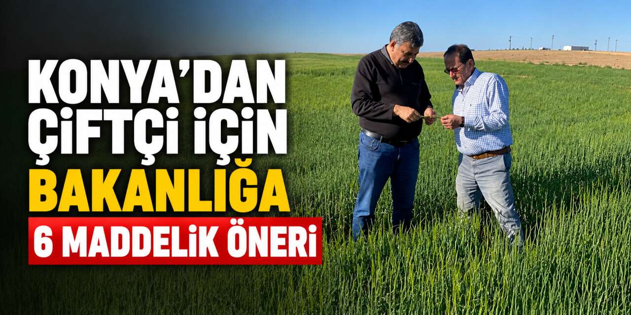 Konya’nın uzman isminden buğday üreticisi için yeni destek önerisi