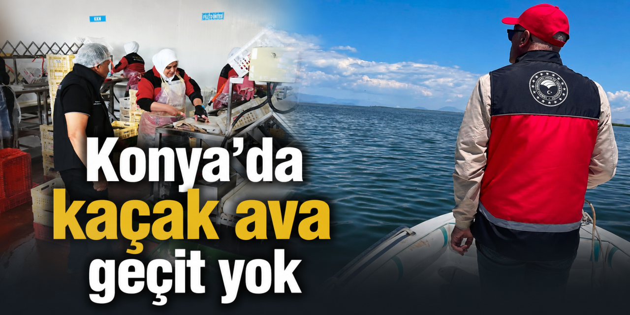 Konya’nın balıkçılarında kaçak denetimi! Ekipler tek tek baktı