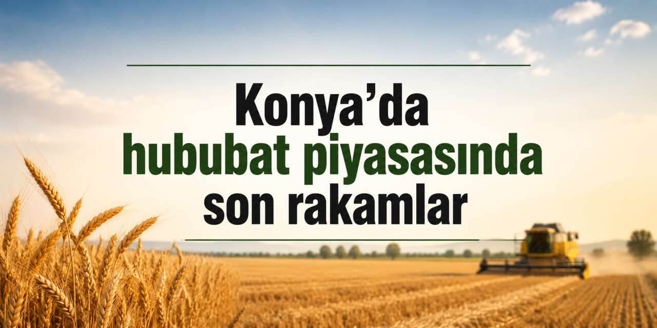 Konya’da buğday kaç liradan işlem gördü? Hububat piyasasında son durum