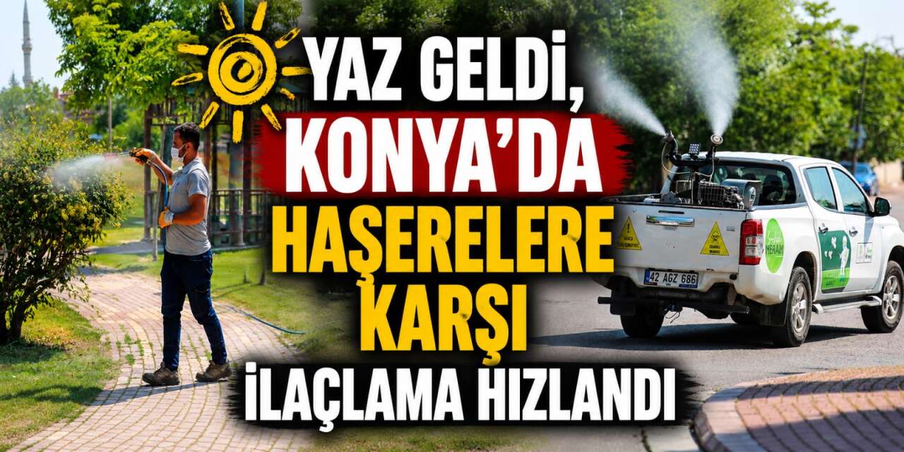Konya’da haşere alarmı! Ekipler harekete geçti